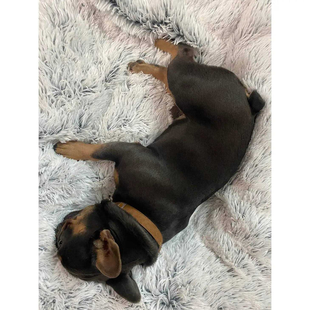 Dog Waterproof Blanket I782
