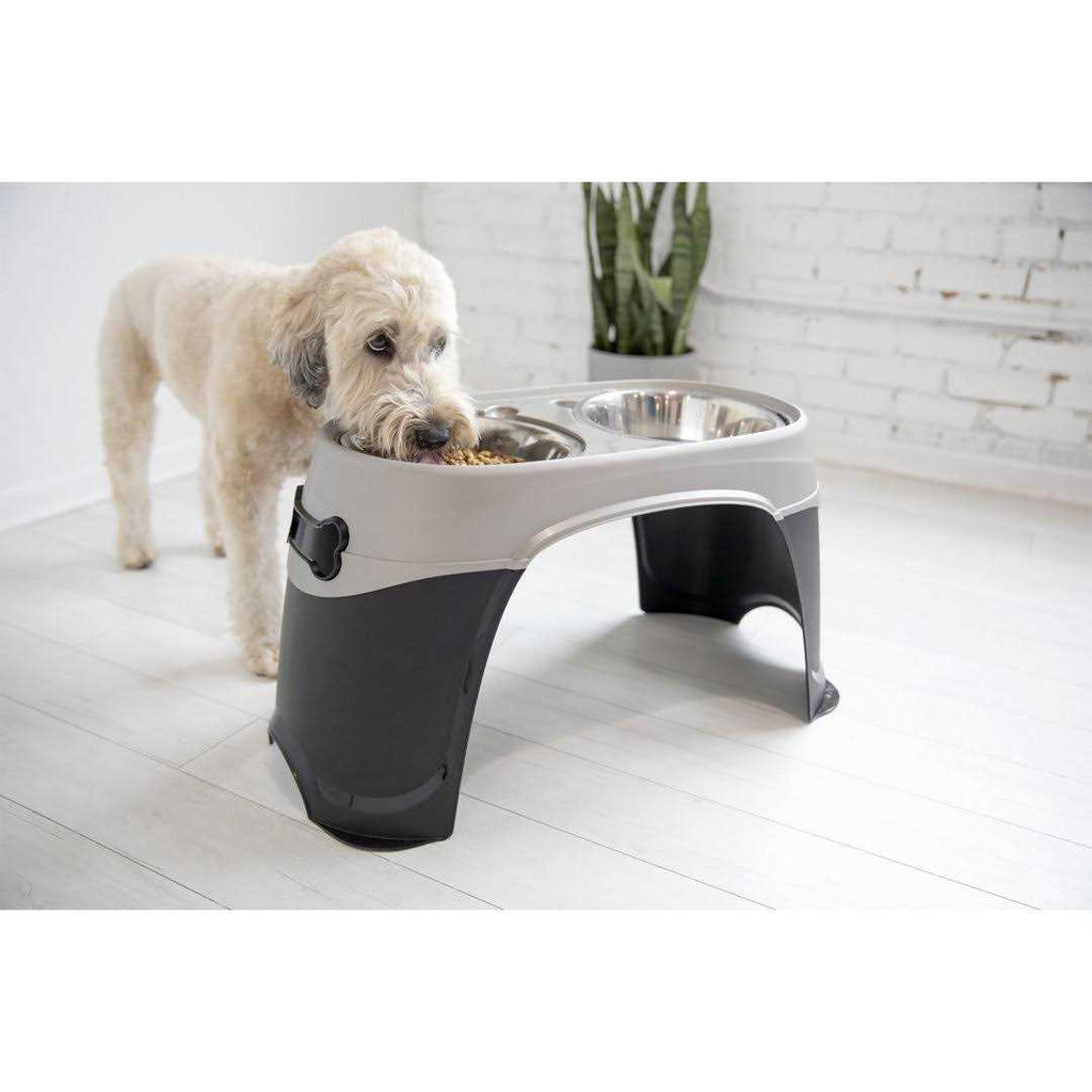 Dog Bowl H90925