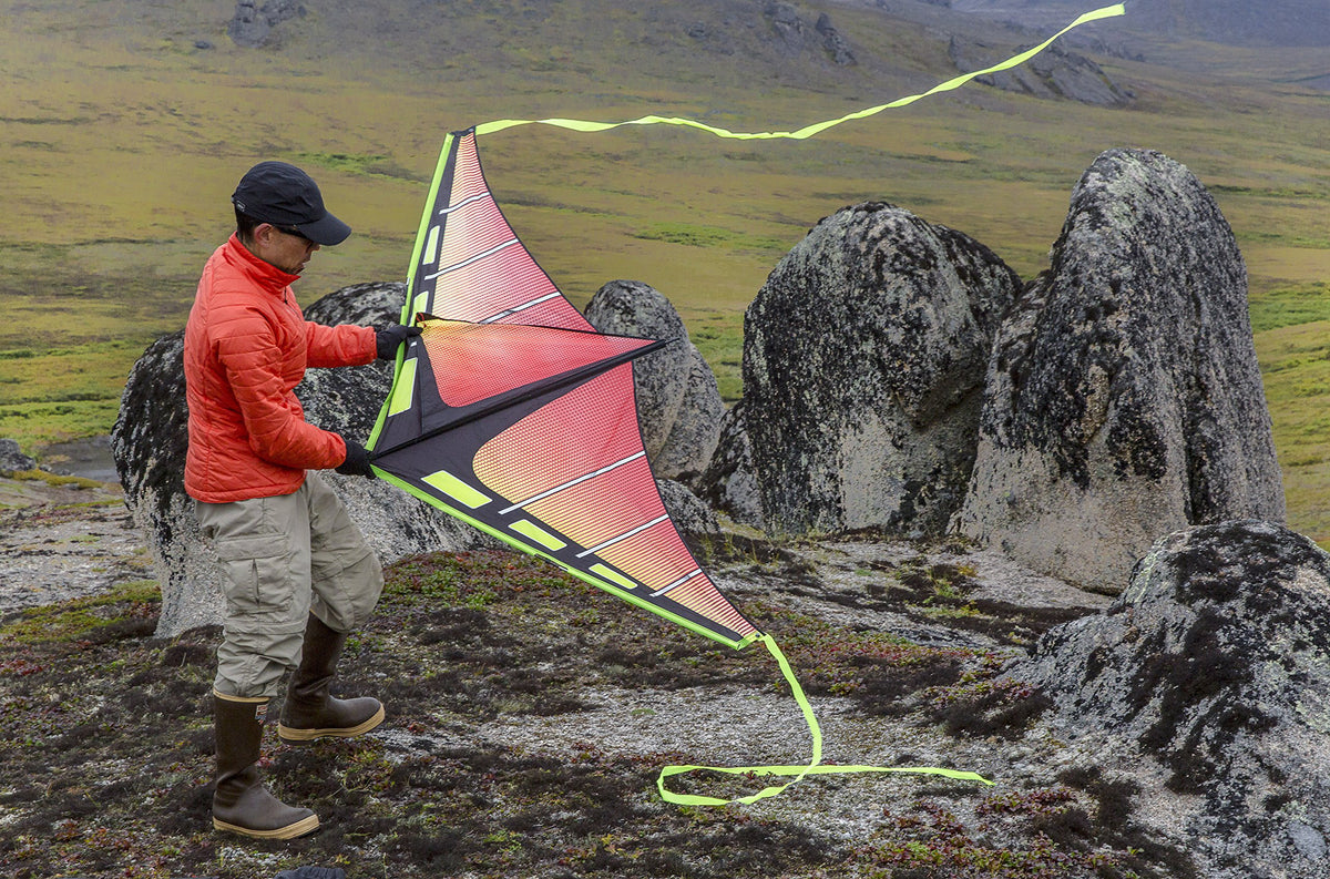Delta Kite O493
