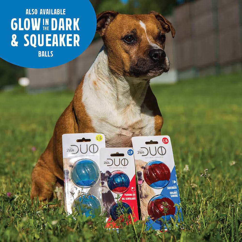 Dog Toy with Squeaker T618