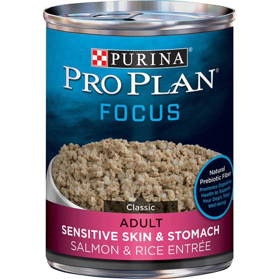 Salmon & Rice Wet Dog Food P575914