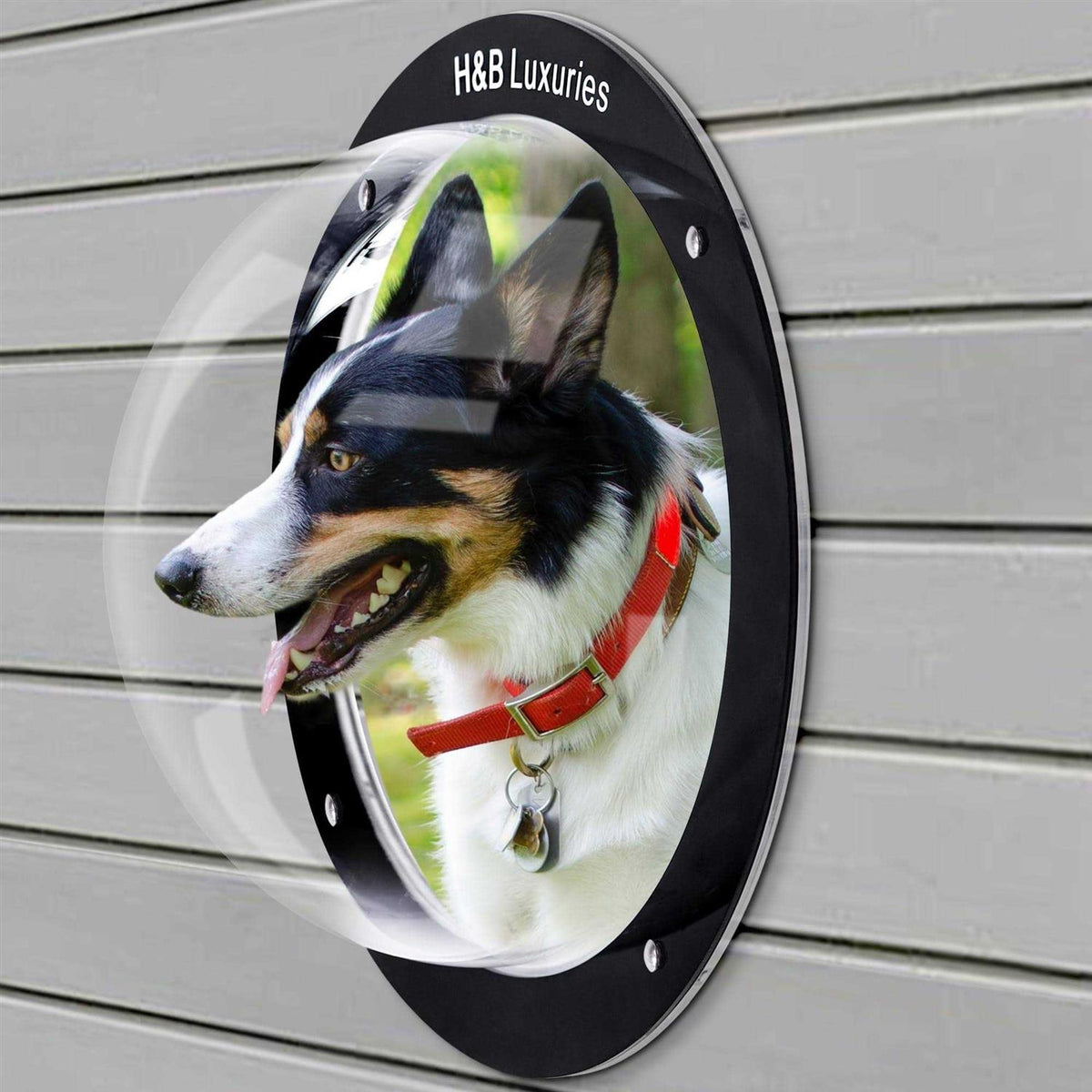 Acrylic Dome Dog Window for Fence Q274