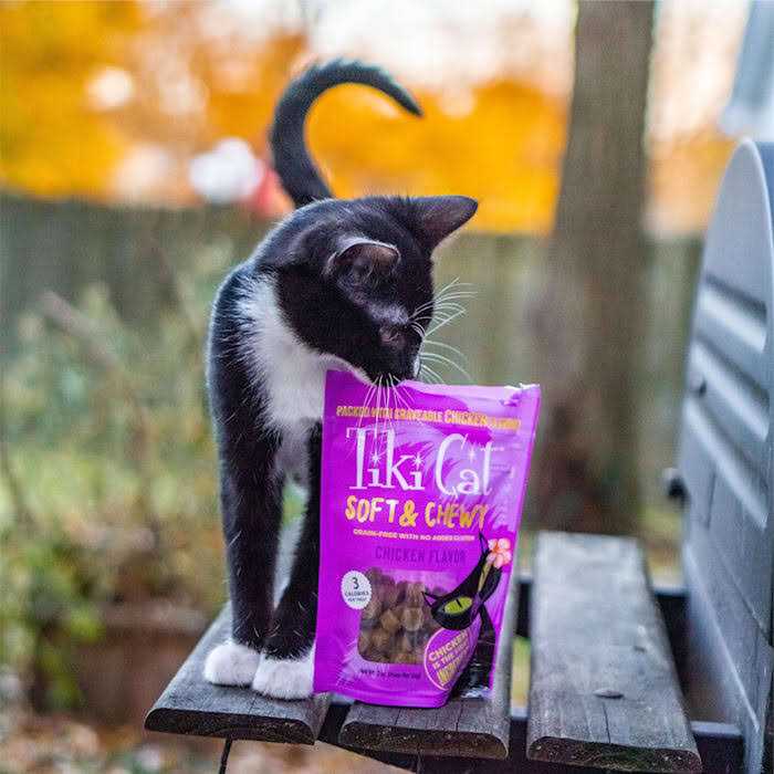 Chicken Cat Treats C468