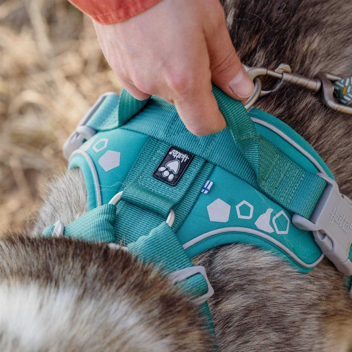 Dog Harness O75463