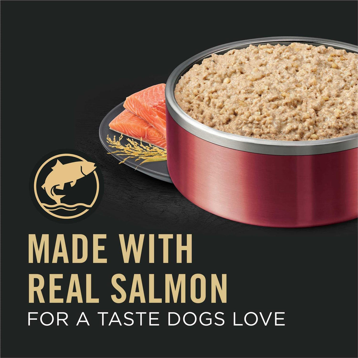 Salmon & Rice Wet Dog Food P575914