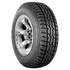 All Season Tire Z5339