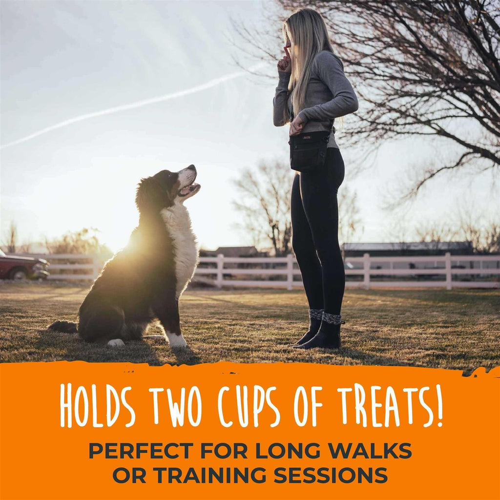 Dog Treat Pouch P532
