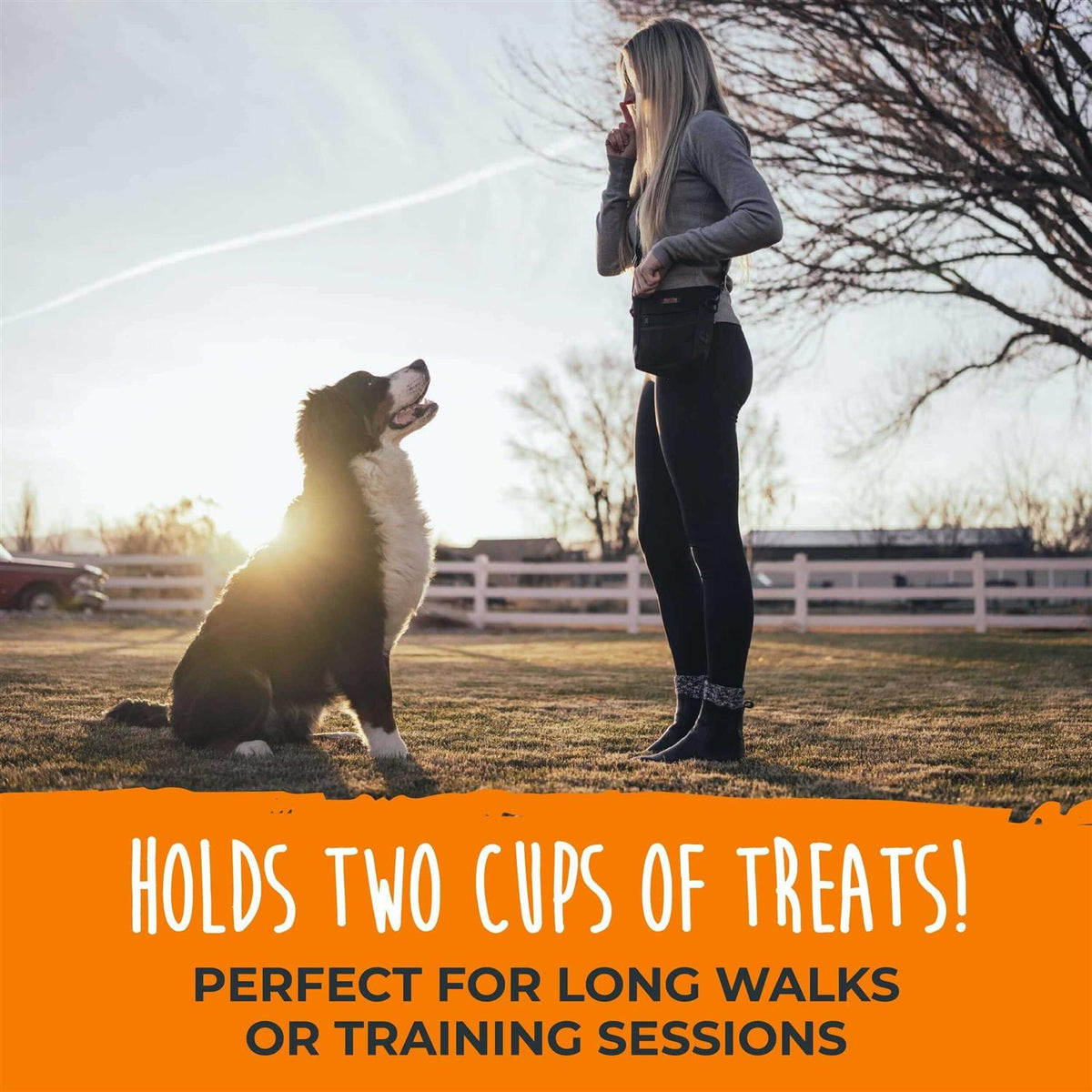 Dog Treat Pouch P532