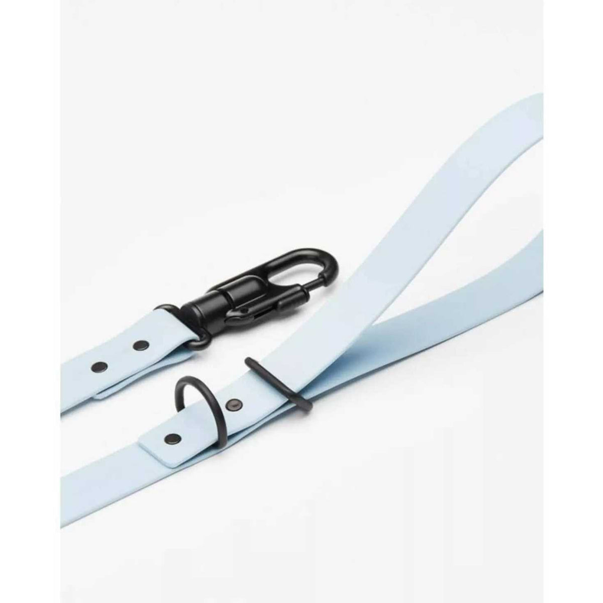Dog Leash U382