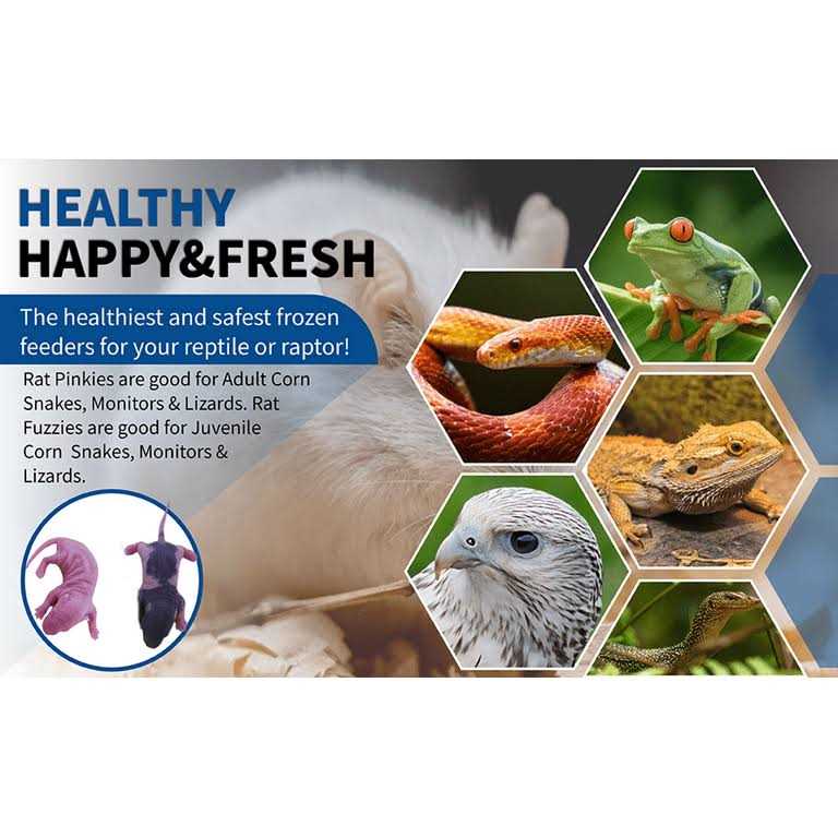 Frozen Mice Feeders Combo Pack, 150 Count O62667