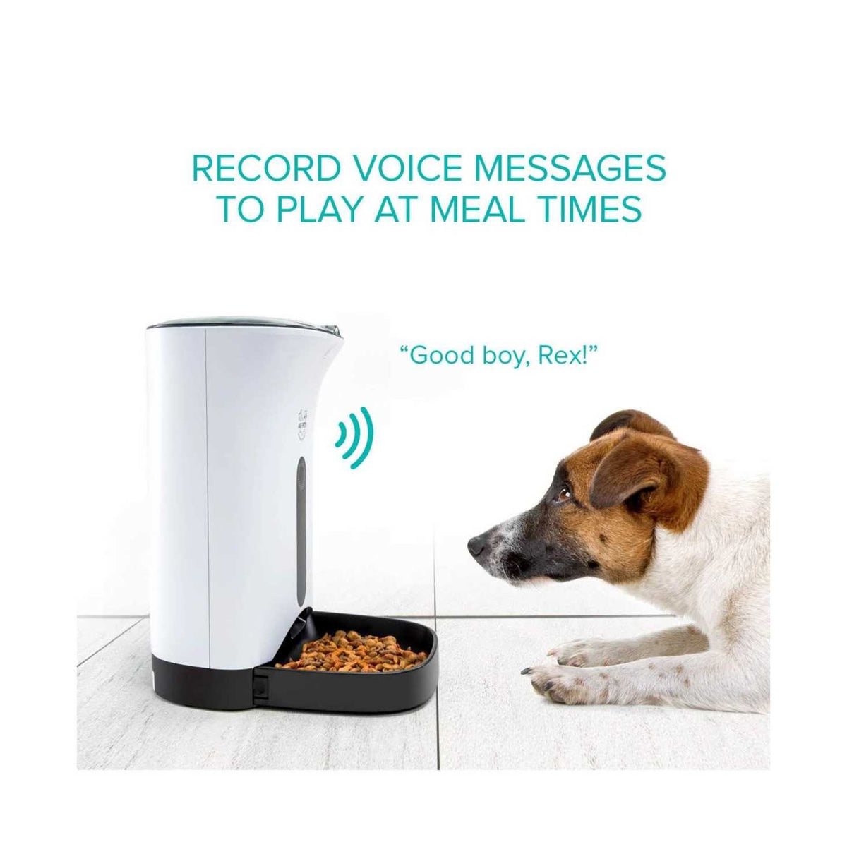 Automatic Pet Feeder Food Dispenser Z22101