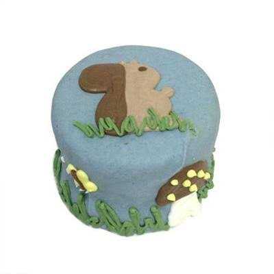 Shelf Stable Birthday Cake R726521