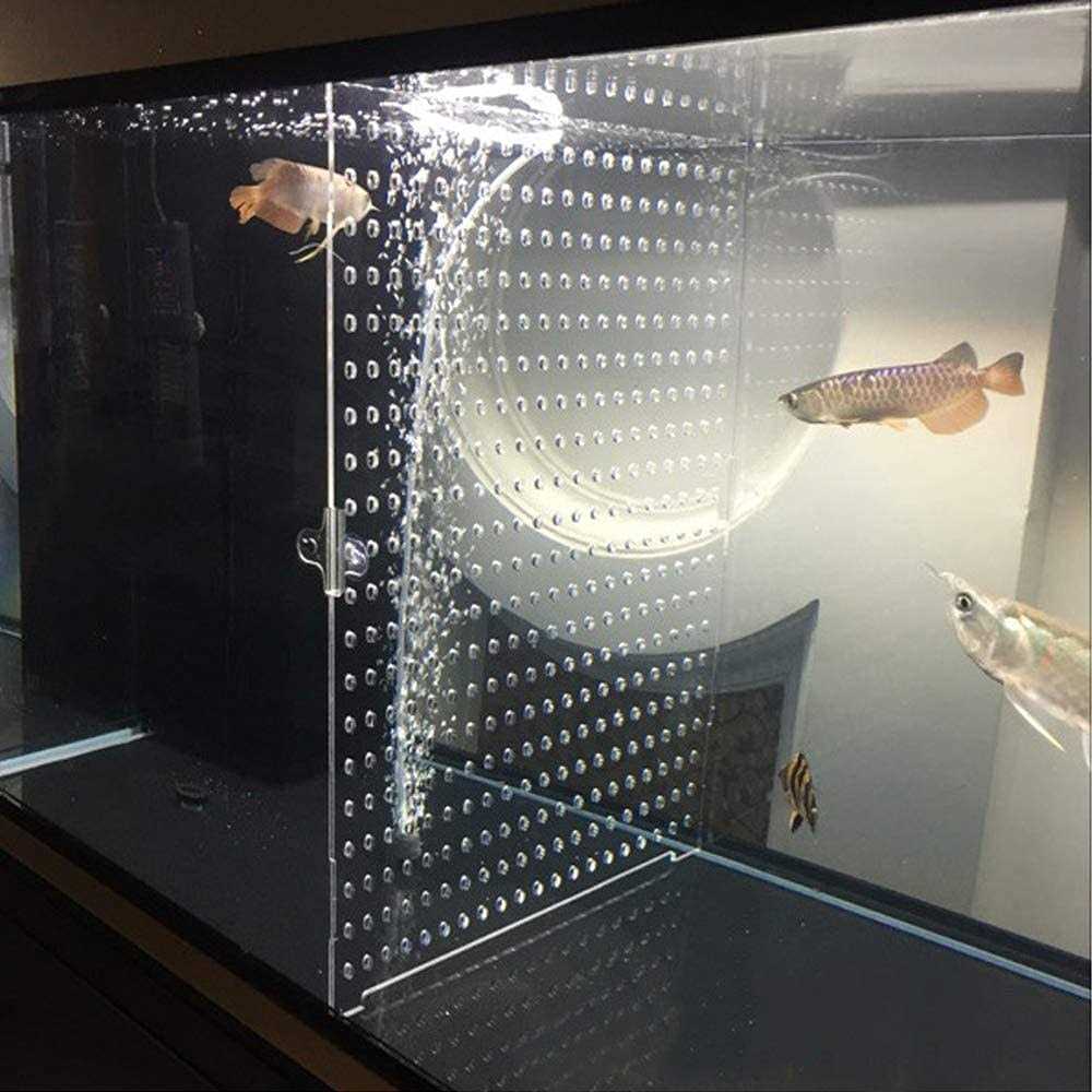 DIY Clear Fish Tank Set H641