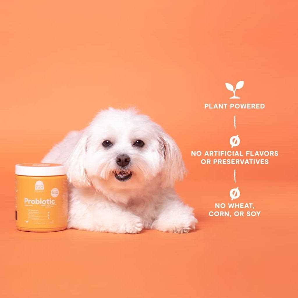 Probiotic Dog Chews C812033