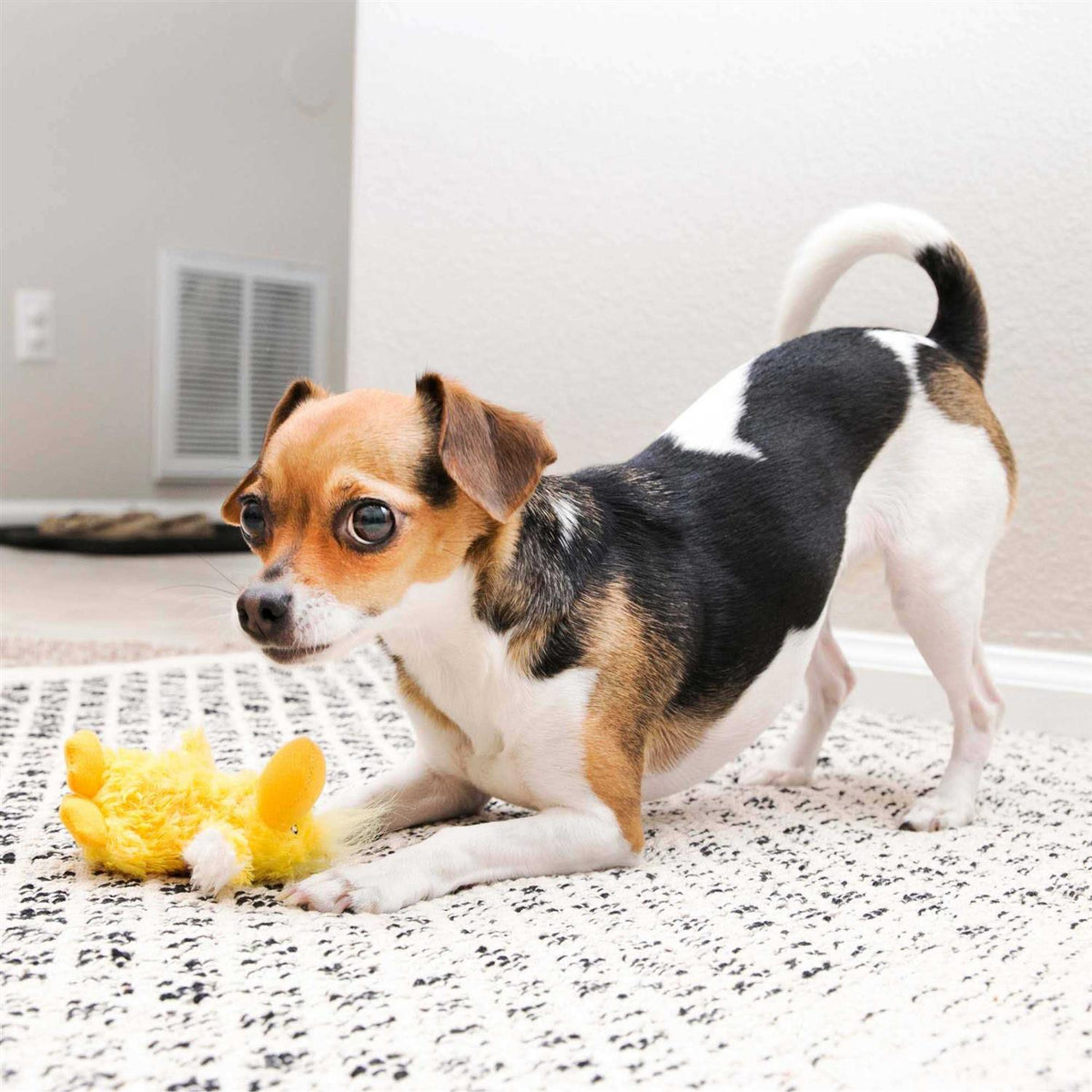 Duck Plush Dog Toy D312900