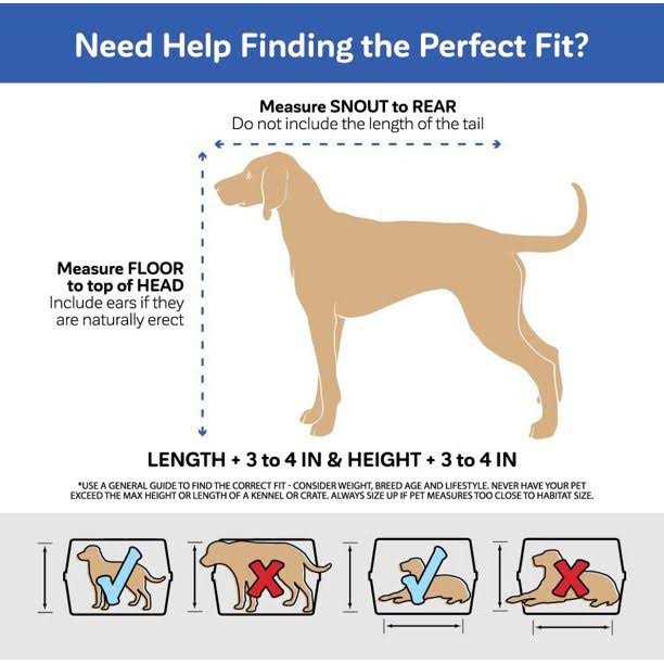 Hard-Sided Pet Kennel Y6853