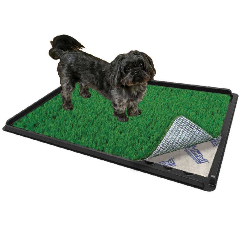 Indoor Dog Potty System 16 x 24 R819
