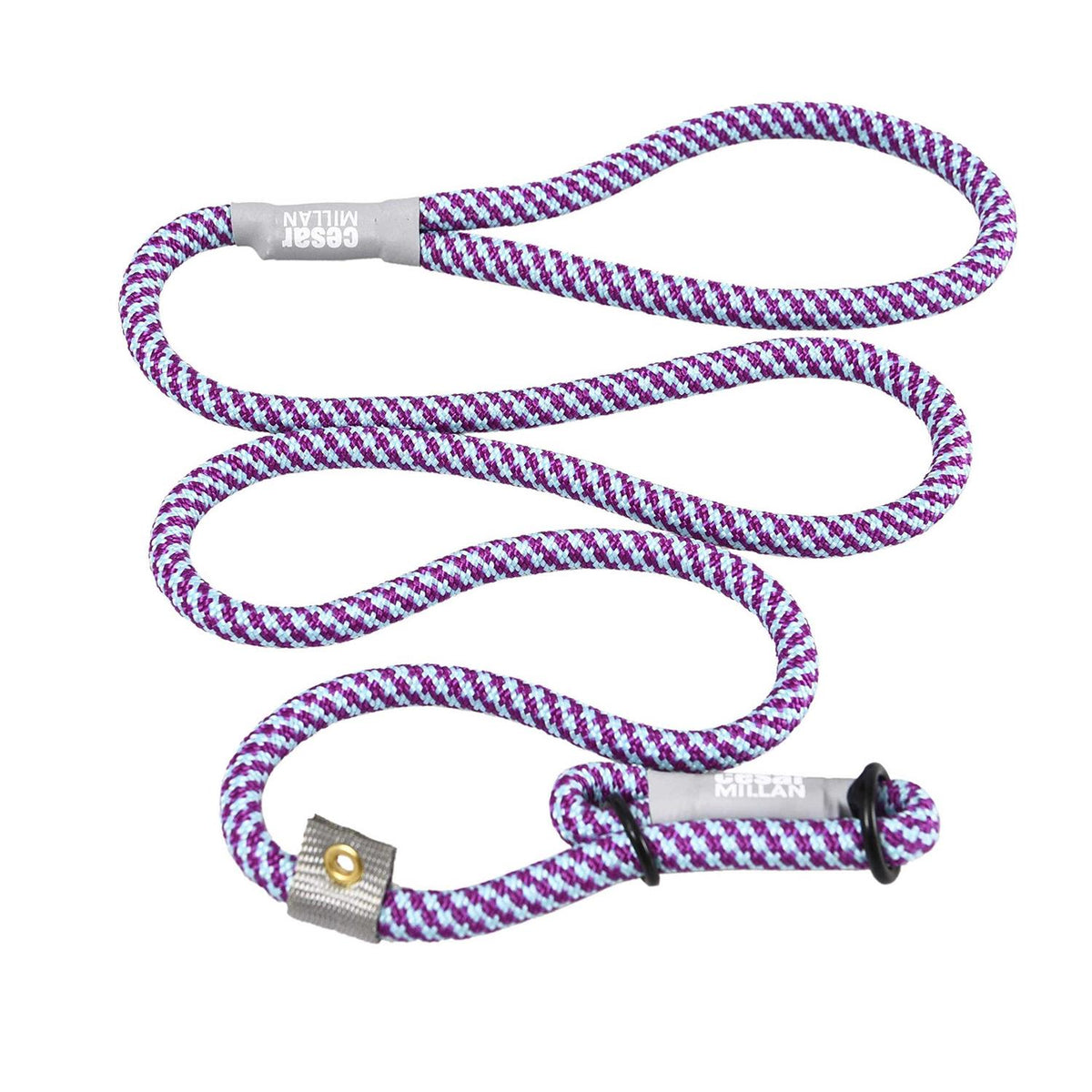 2-in-1 Slip Collar Dog Training Lead & Collar J7477