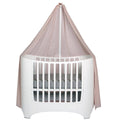 Soft Pink Canopy P956041