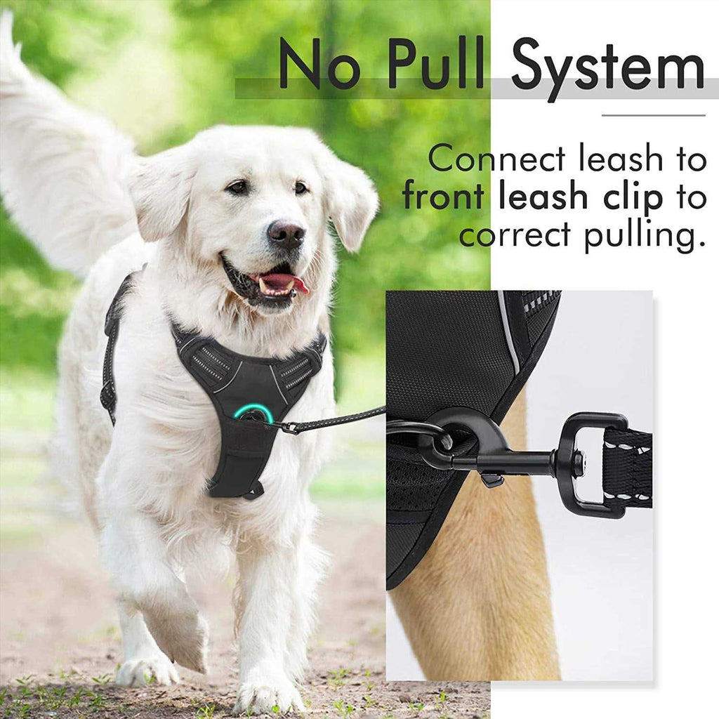 Adjustable Padded Dog Harness with 2 Leash Clips T6836