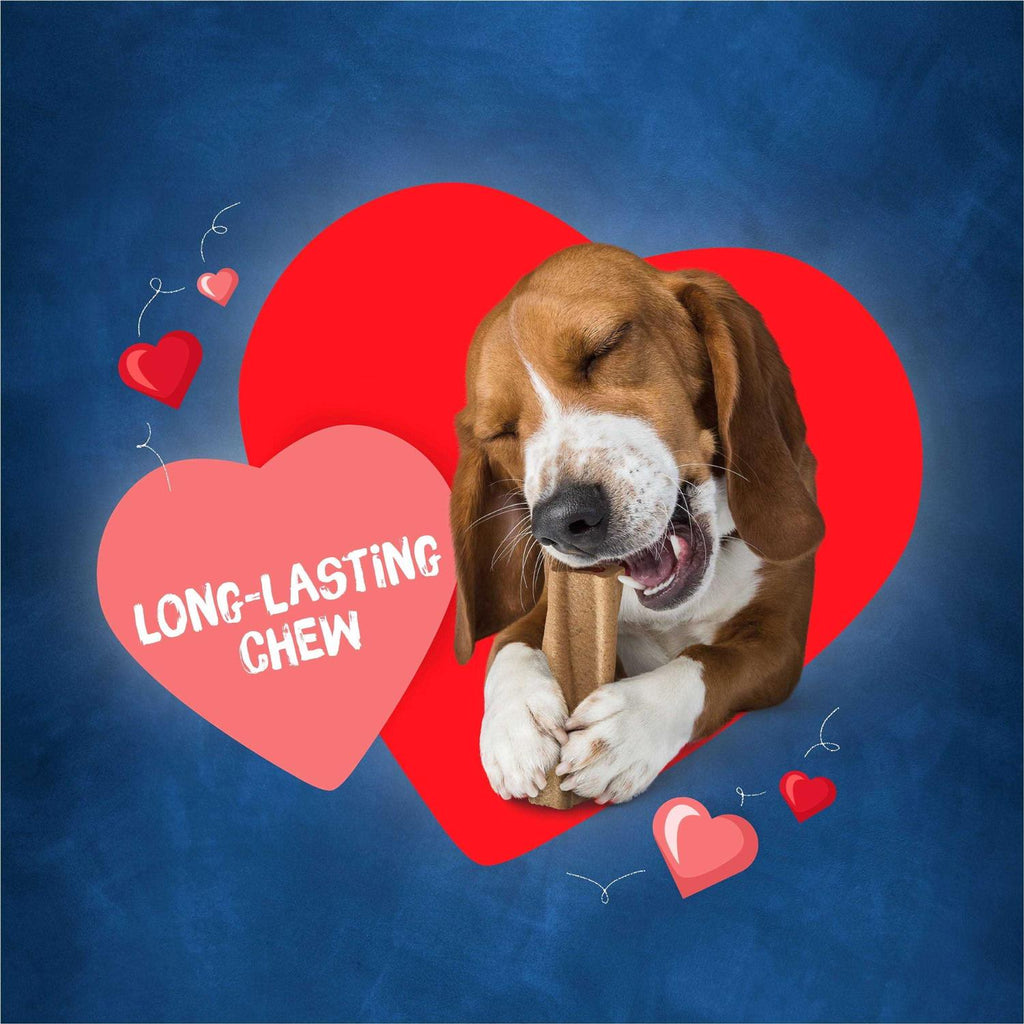 Dog Q212272