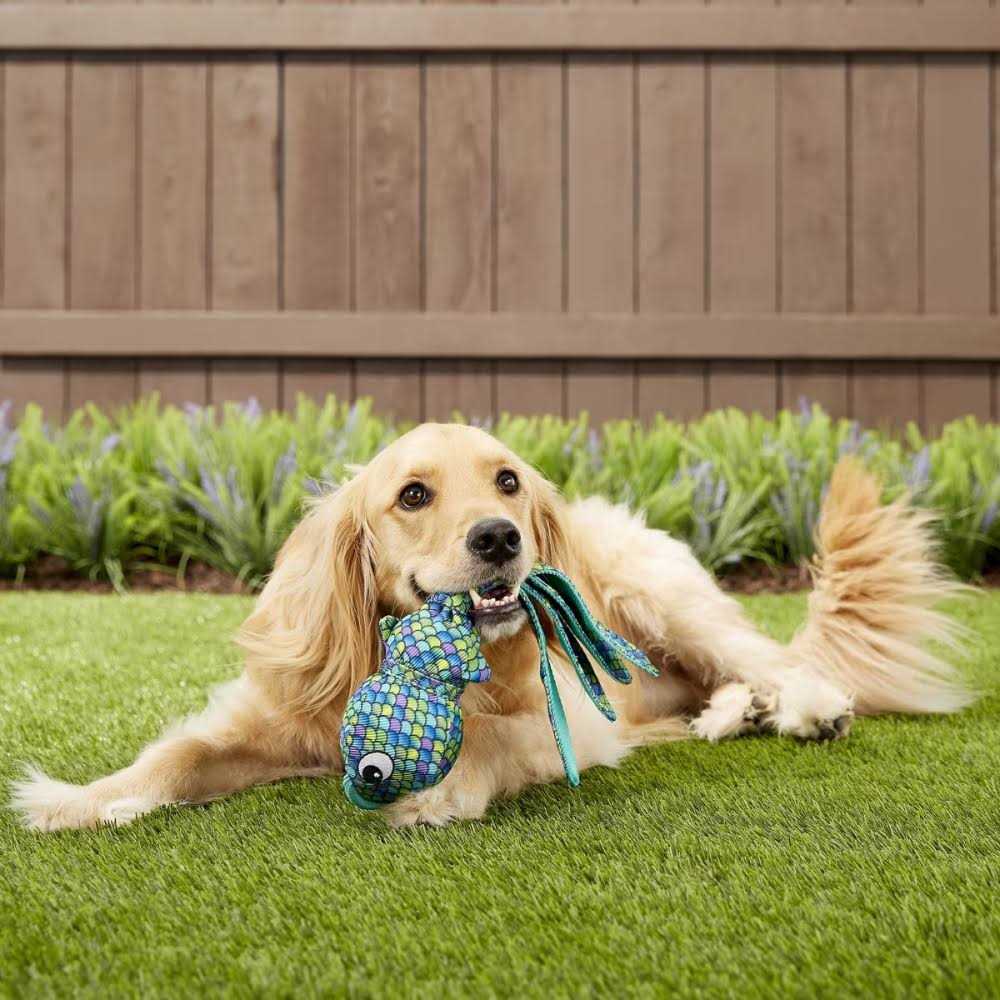 Blue Dog Toy L221778