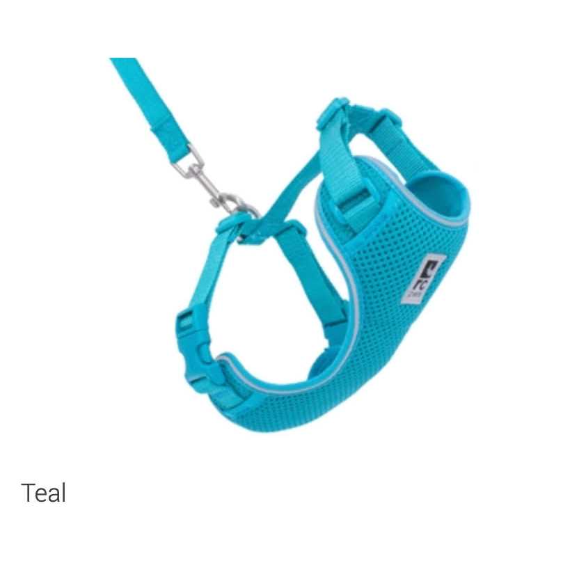 Cat Harness O203467