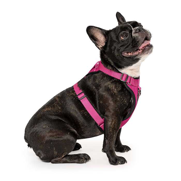 Dog Harness Q471
