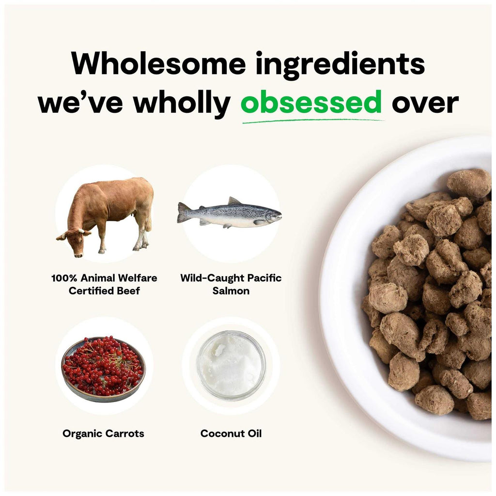 Freeze Dried Raw Dog Food E178