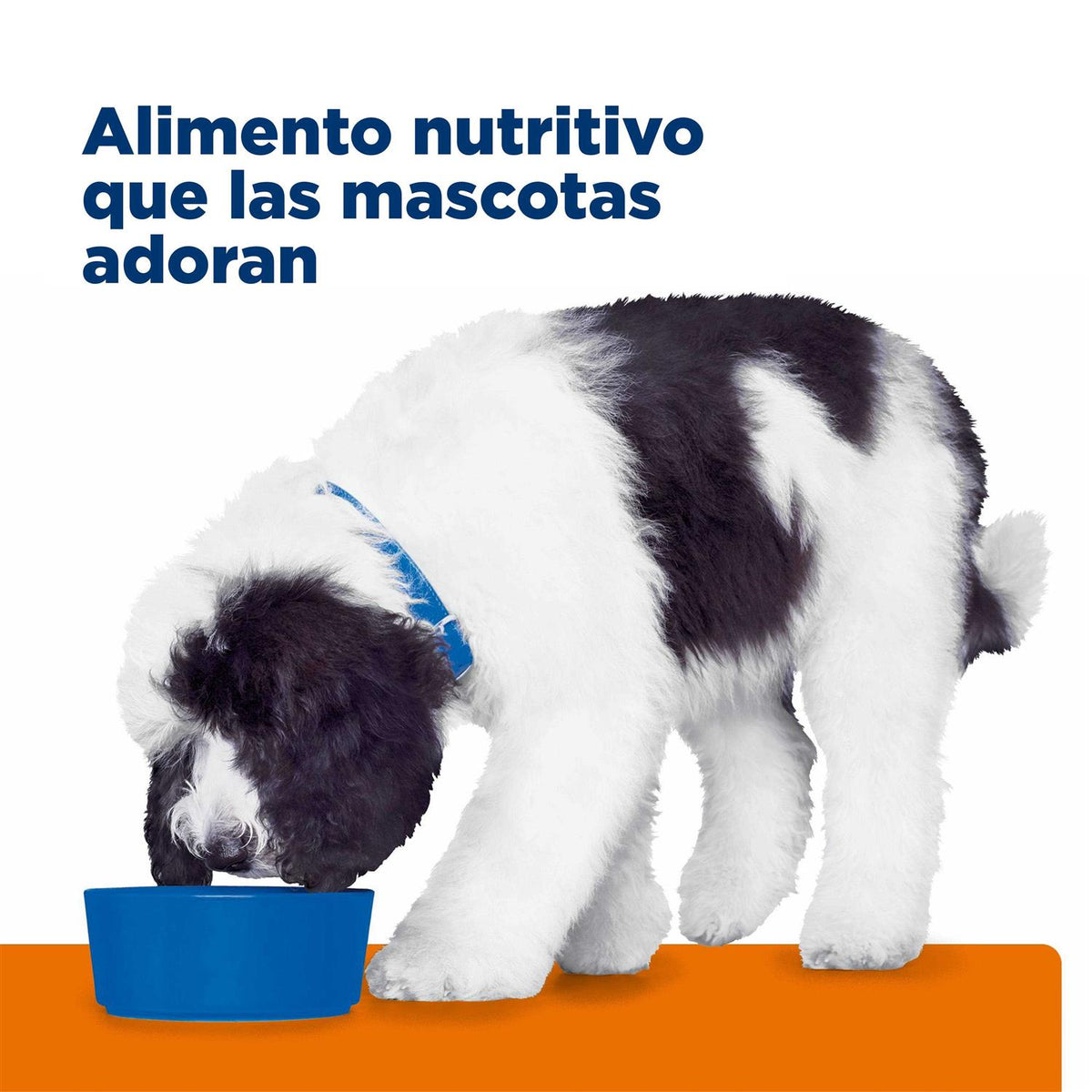 Prescription Diet c/d Multicare Dog Nutrition O987