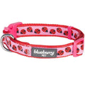 Dog Collar P6970
