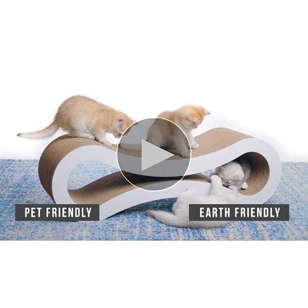 Cat Scratcher Lounge Q50829