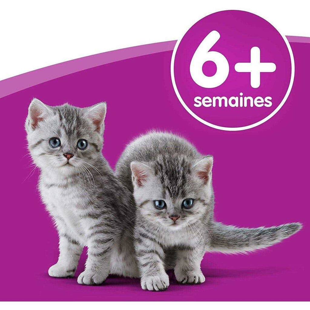 Cat Milk Z2309