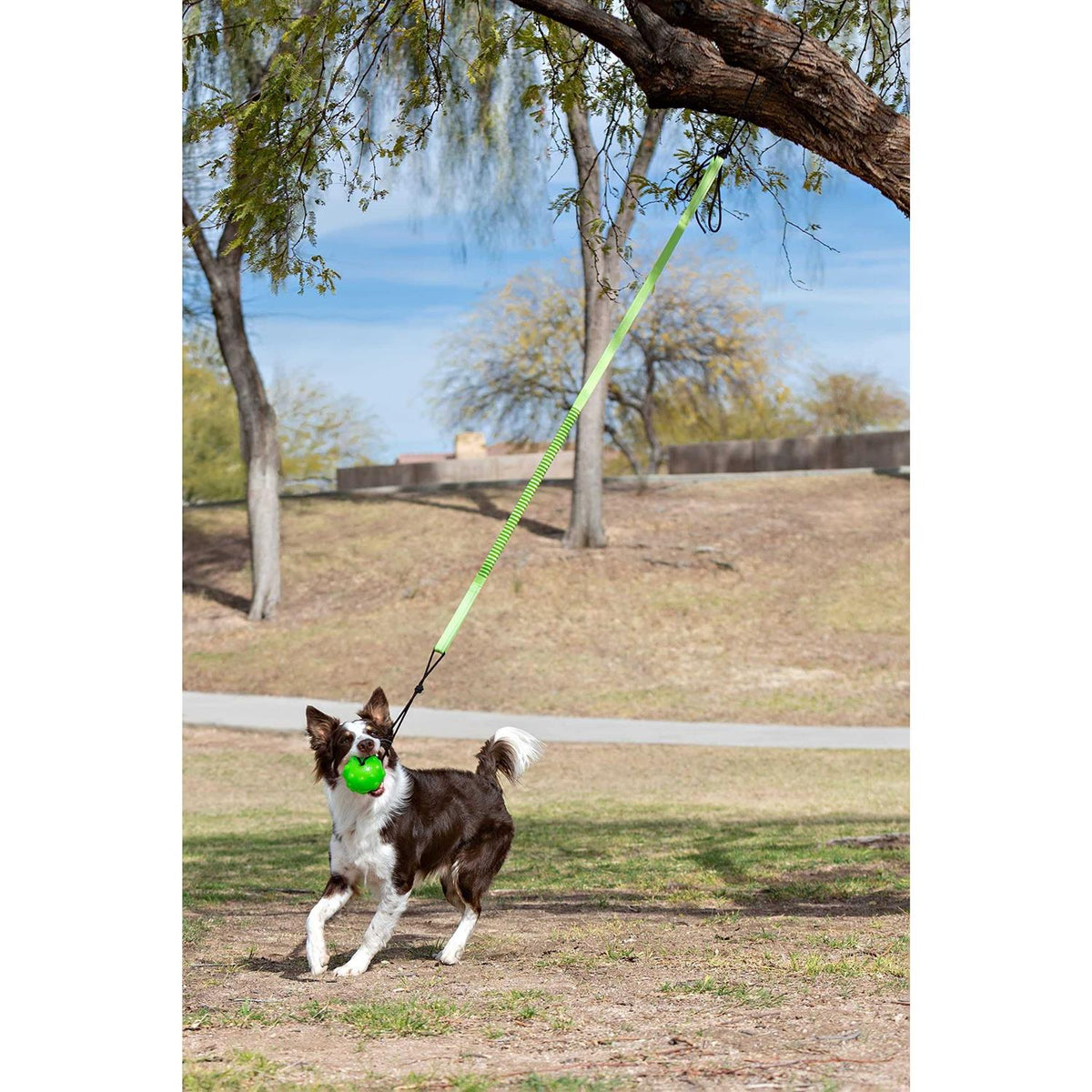 Dog Toy T86809