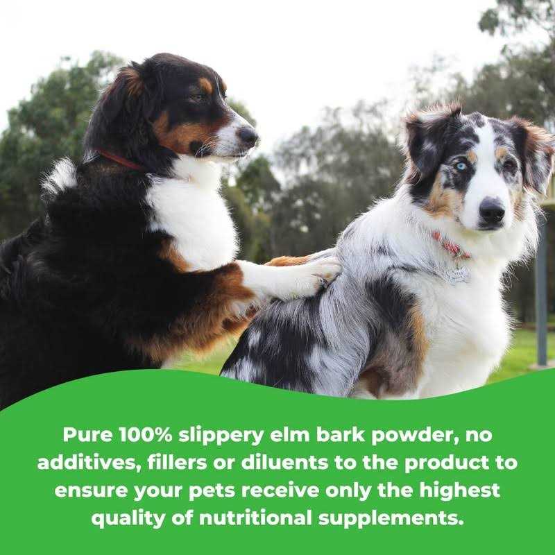 Slippery Elm Bark Powder E319