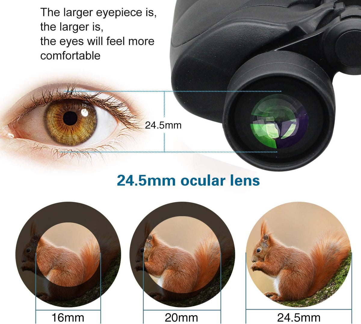 10x50 Waterproof Binoculars with Case and Strap V739