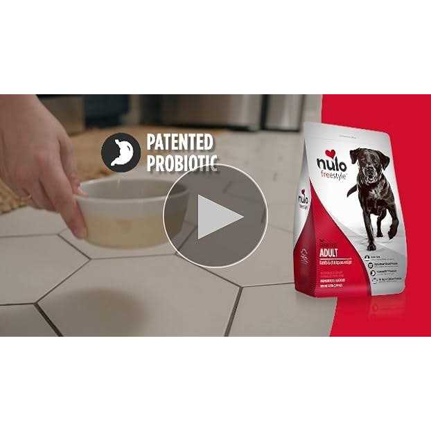 Grain-Free Dry Dog Food N9063