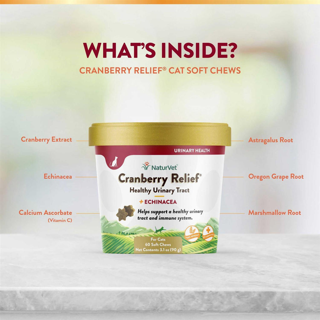 Cranberry Relief Plus Echinacea for Cats O58281