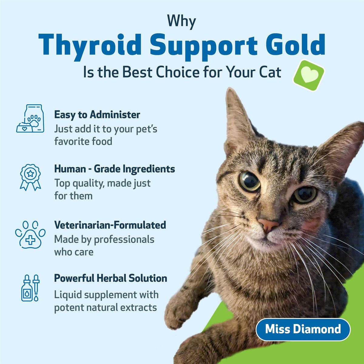 Thyroid Support for Cats Z75714