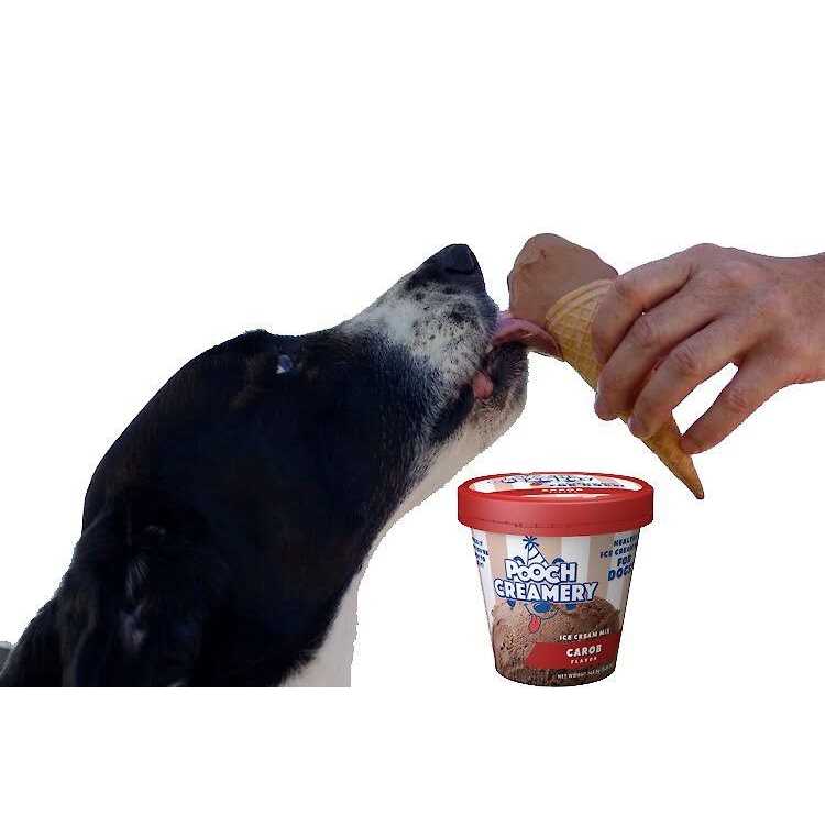 Ice Cream Mix Dog Treats H499
