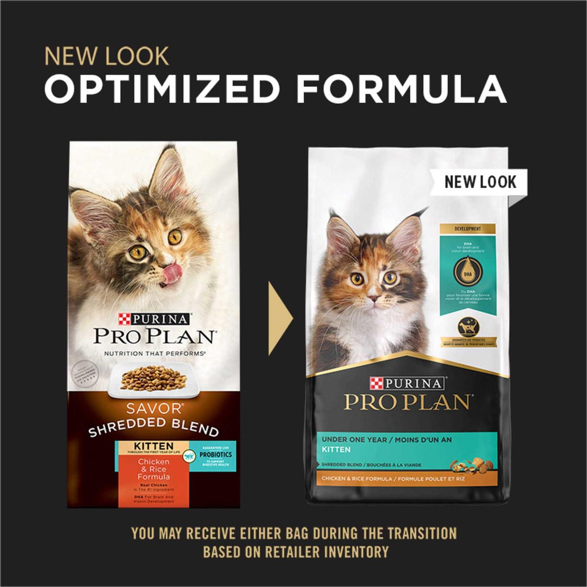 Dry Kitten Food Z1663