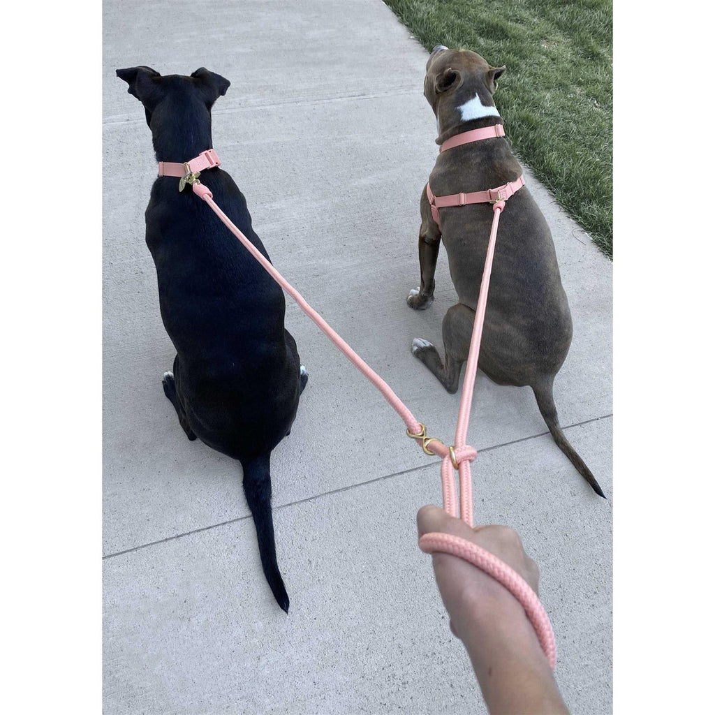Leash Y607