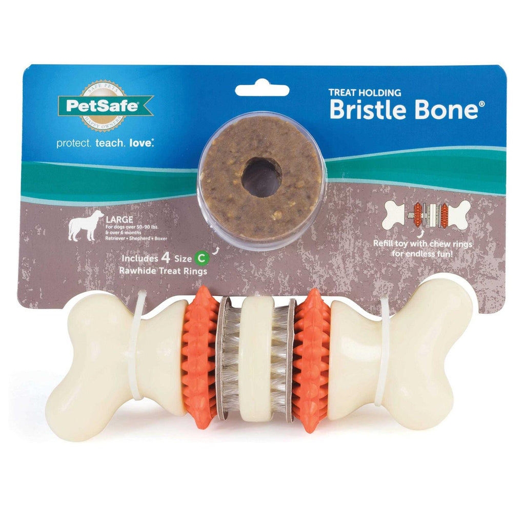 Bristle Bone Q491989