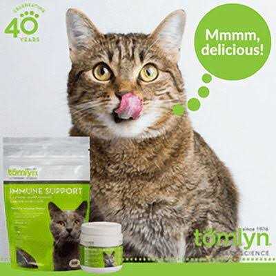 L-Lysine Chews for Cats U47868