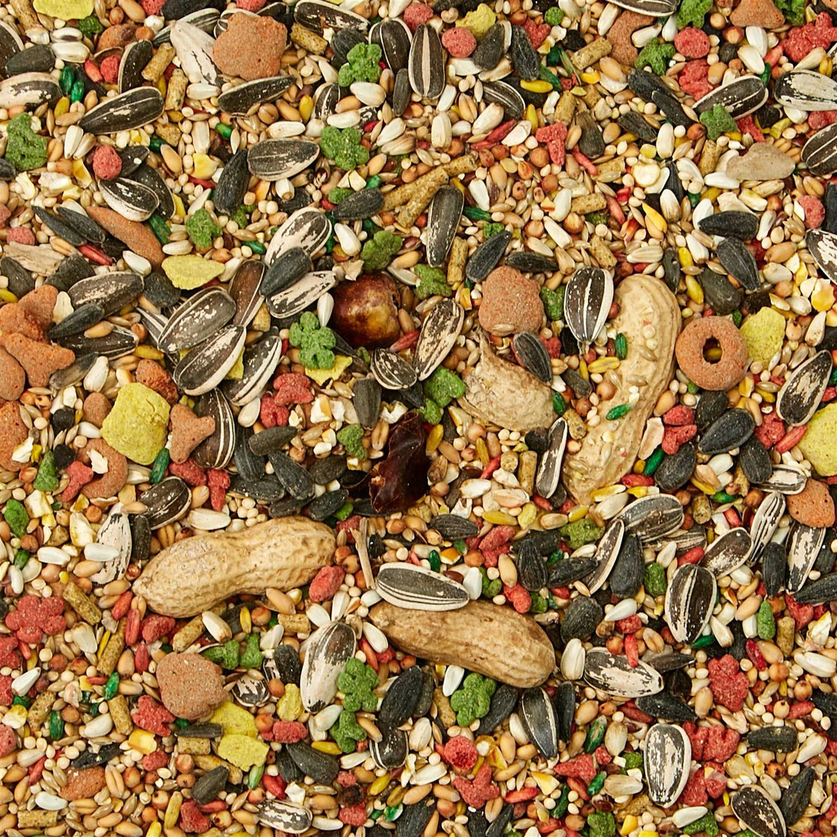Conure Food Q245