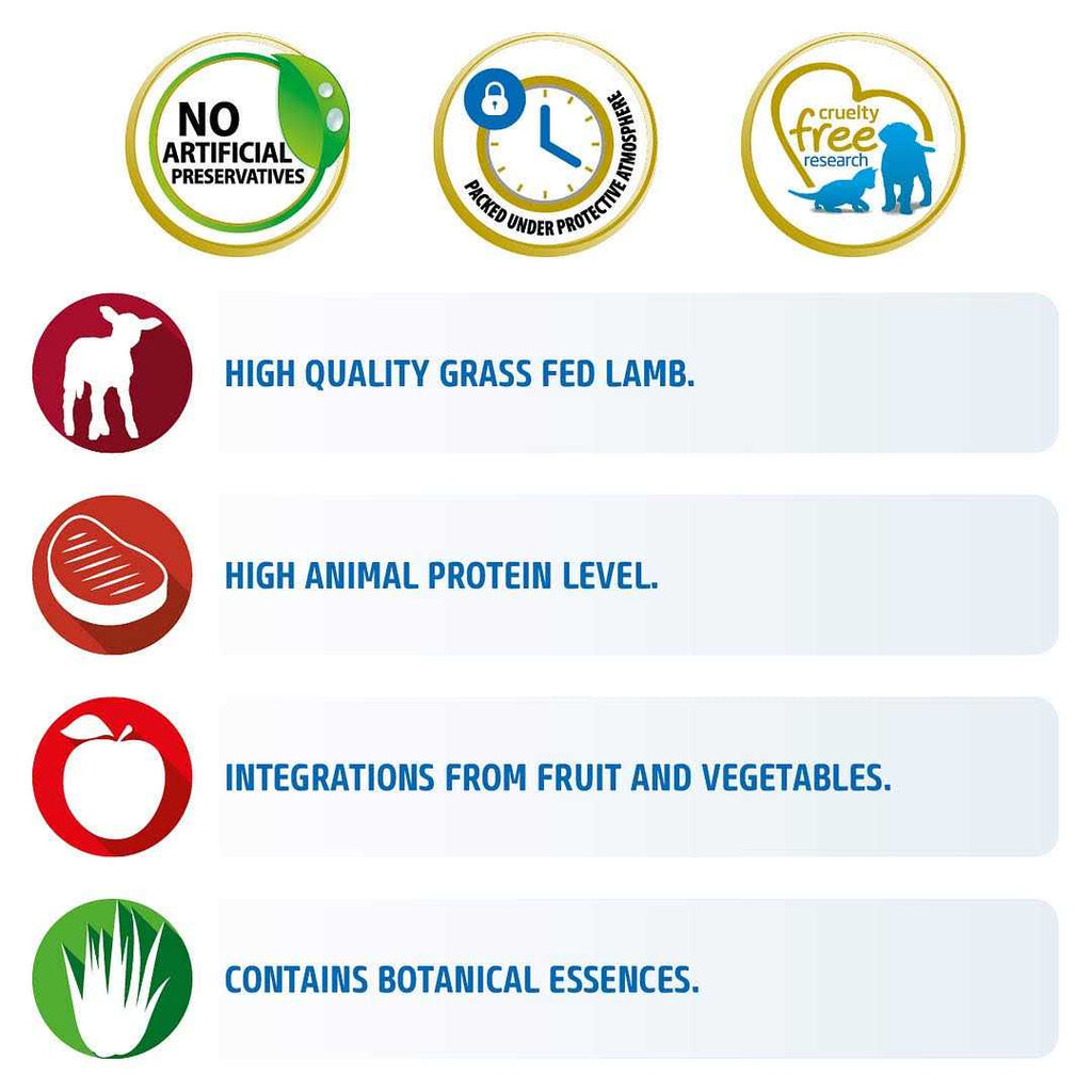 Grain Free Lamb & Blueberry Dry Cat Food W2599