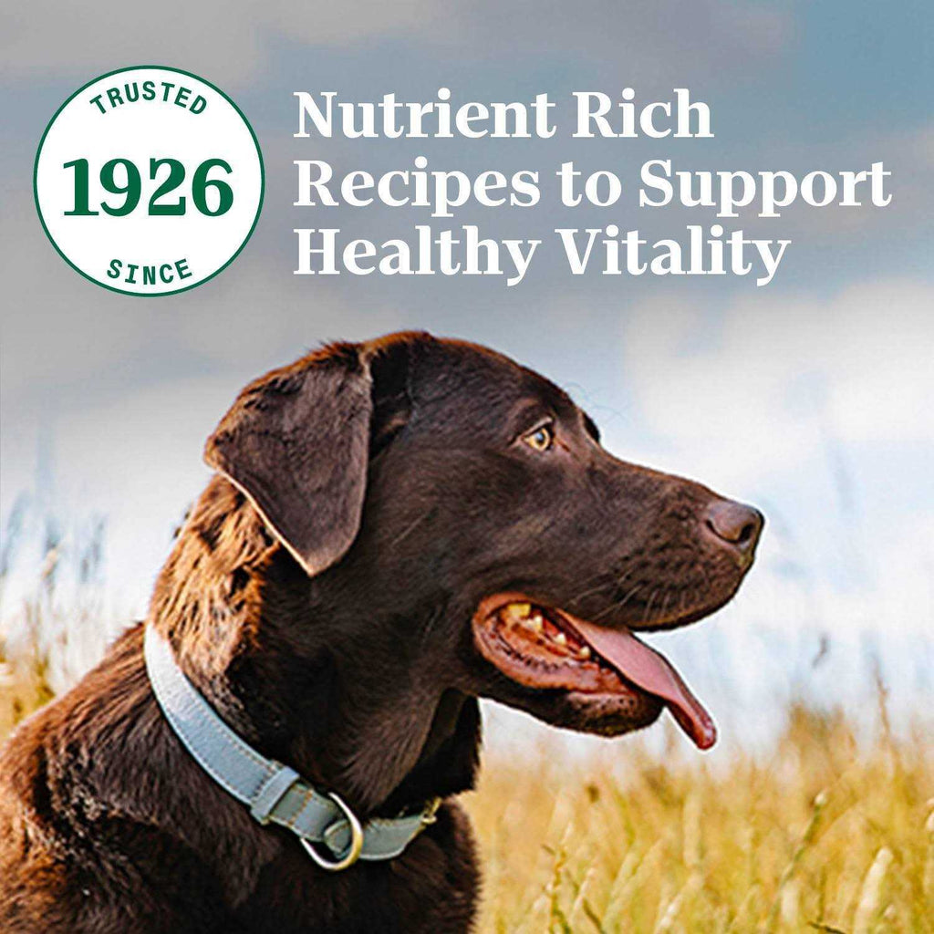 Adult Lamb Rice Dry Dog Food B912