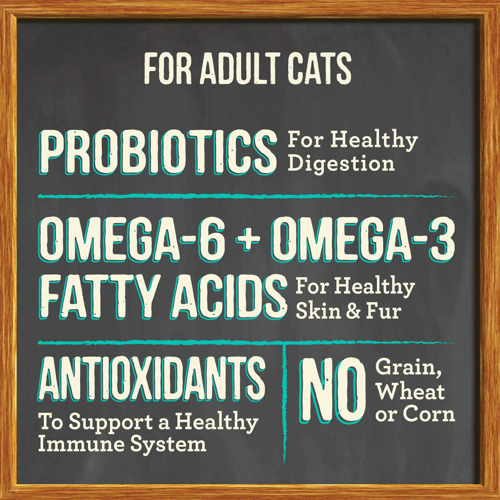 Dry Cat Food Z80911