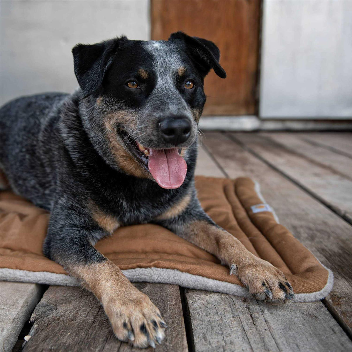 Dog Pad R5163