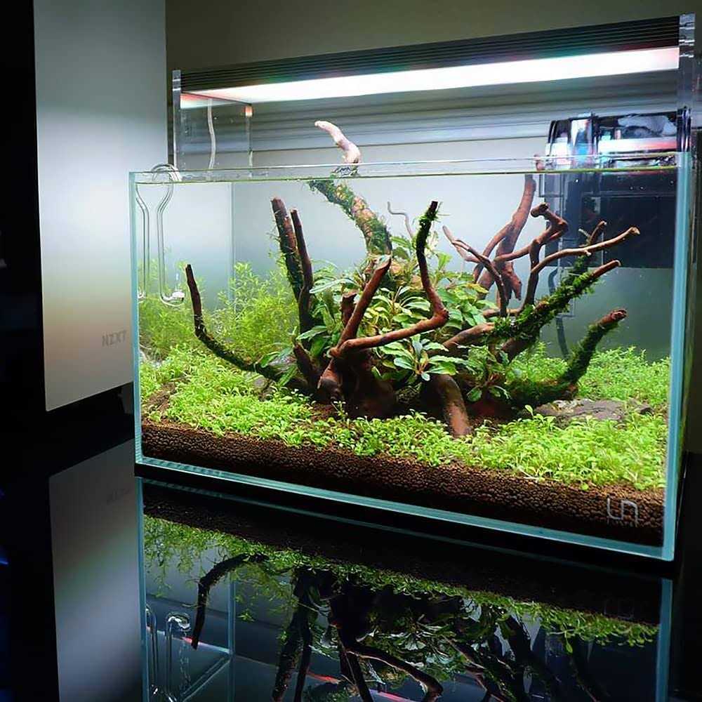 Aquatic Substrate L82027